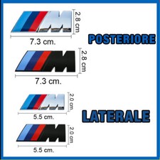 Stemma laterale posteriore - posteriore, m