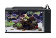 First wave aquarium - first, 48l
