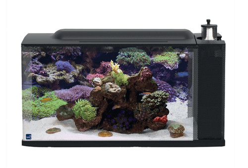 First wave aquarium - wave, set