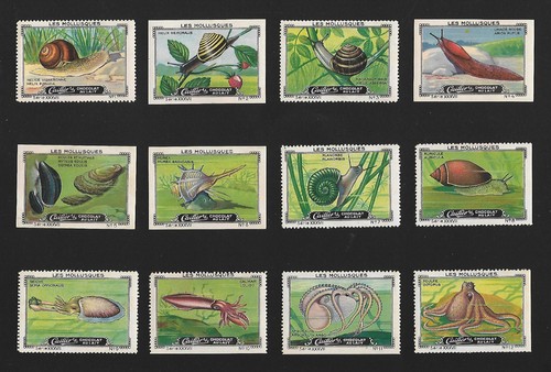Poster stamps molluscs squid - poster,
