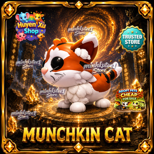 Munchkin cat adopt hot - munchkin,
