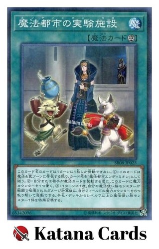 Carte yugioh endymion - carte,