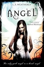 Angel the trilogy book - angel,