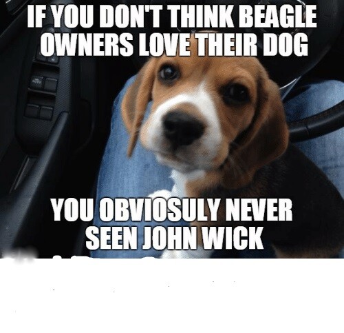 Funny beagle magnete - funny,