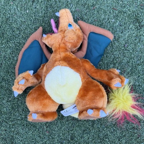 Charizard pokemon play - charizard,