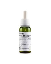 Saponaria olio puro - saponaria,