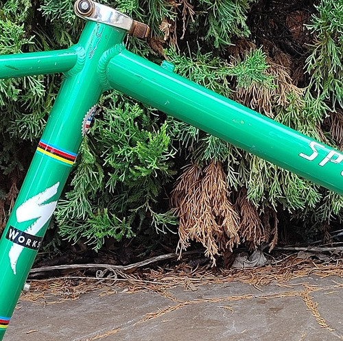 Telaio mountain bike works - telaio,
