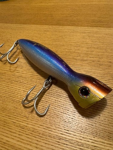 Daiwa saltiga pop - pop, star