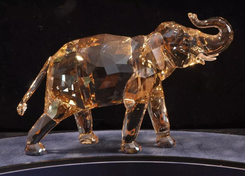 Elefante cinta cristallo - cinta,