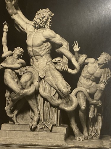 Anderson roma 1396 - anderson, laocoonte