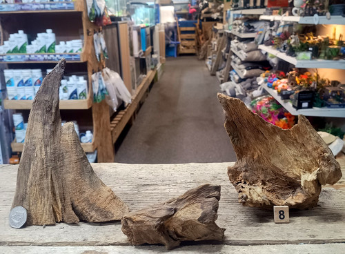 Nano derwen oak bogwood - nano,