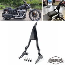 Sissy Bar schienale 22" per