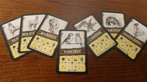 Robinson crusoe adventure - robinson,