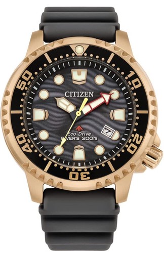 Citizen bn0163 00h promaster - bn0163-00h,