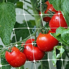 Rete per Cetrioli e Pomodori