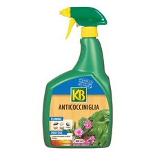 OLIO DI COLZA ANTI COCCINIGLIA