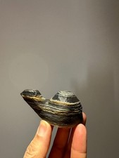 Cina pietre naturali di