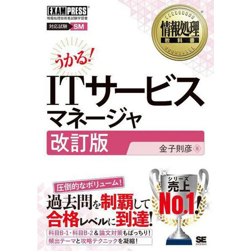 Service manager textbook - it,
