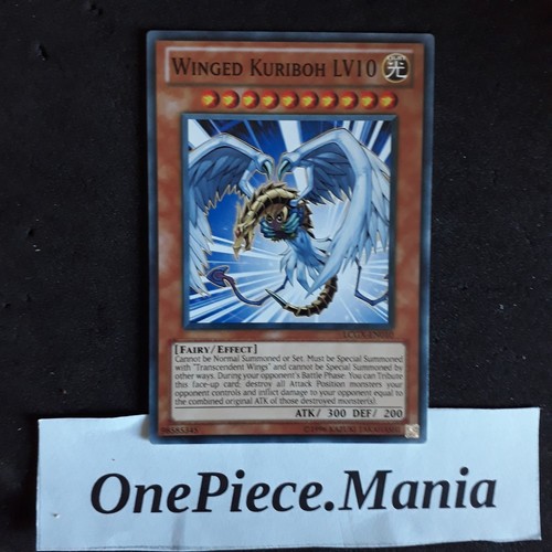 Kuriboh alato lv10 - ,