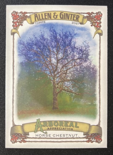 Albero apprezzamento - albero, di
