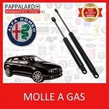 KIT COPPIA 2 MOLLE GAS
