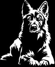 Adesivo PASTORE SVIZZERO -