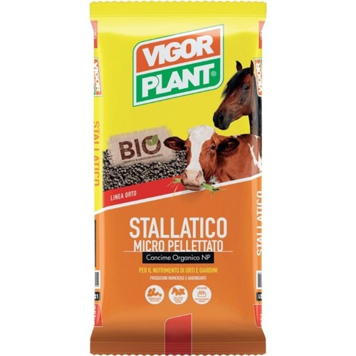 Vigor plant stallatico - plant,