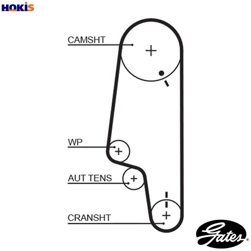 Cinghia distribuzione 5428xs - distribuzione,
