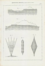 ARCHITETTURA IDRAULICA ARGINE