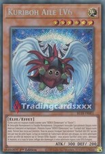 Yu-Gi-Oh! Kuriboh Ailé LV6 
