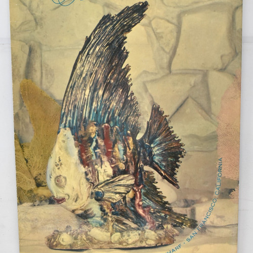 1964 esposizione pesce grotta - pesce,