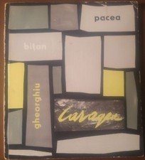 PITTORI ROMENI catalogo mostra PACEA BITAN GHEORGHIU CARAGEA biennale Venezia 