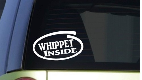 Adesivo whippet inside - adesivo,