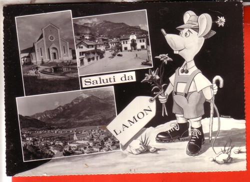 Cartolina lamon viaggiata - cartolina,