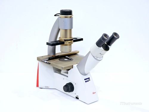Microscopio invertito leica - invertito,