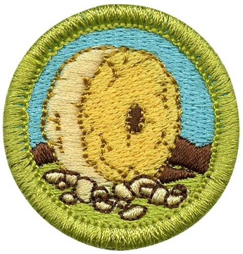Inventing merit badge design - inventing,