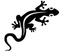 Geco Stikers-Adesivo