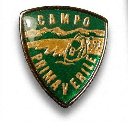 Spilla pins alpini campo - pins,