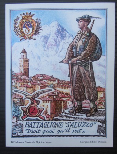 Adunata alpini cuneo - 80°,