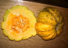 MIELE MELONE PRESCOTT À FOND
