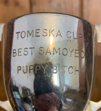 Trofeo piatto argento cucciolo