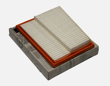 Filtro Aria Sinistro