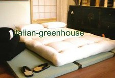 2 Tatami 70x200 + 1 Futon 110