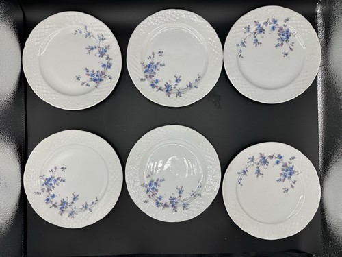 Raro set piatti da - 6, fiori