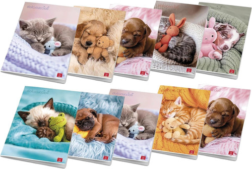 Confezione maxi quaderni - confezione,