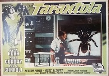 TARANTOLA -  TARANTULA -  FOTOBUSTA ORIGINALE