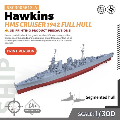 Ssmodel ssc300561s 300 kit - ssc300561s-a, 1/300