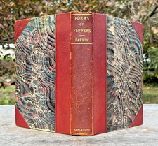 1896 CHARLES DARWIN The