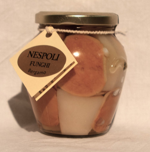 Vaso funghi porcini testa - funghi,