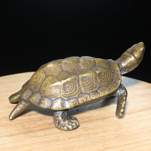 Scultura animale tartaruga
